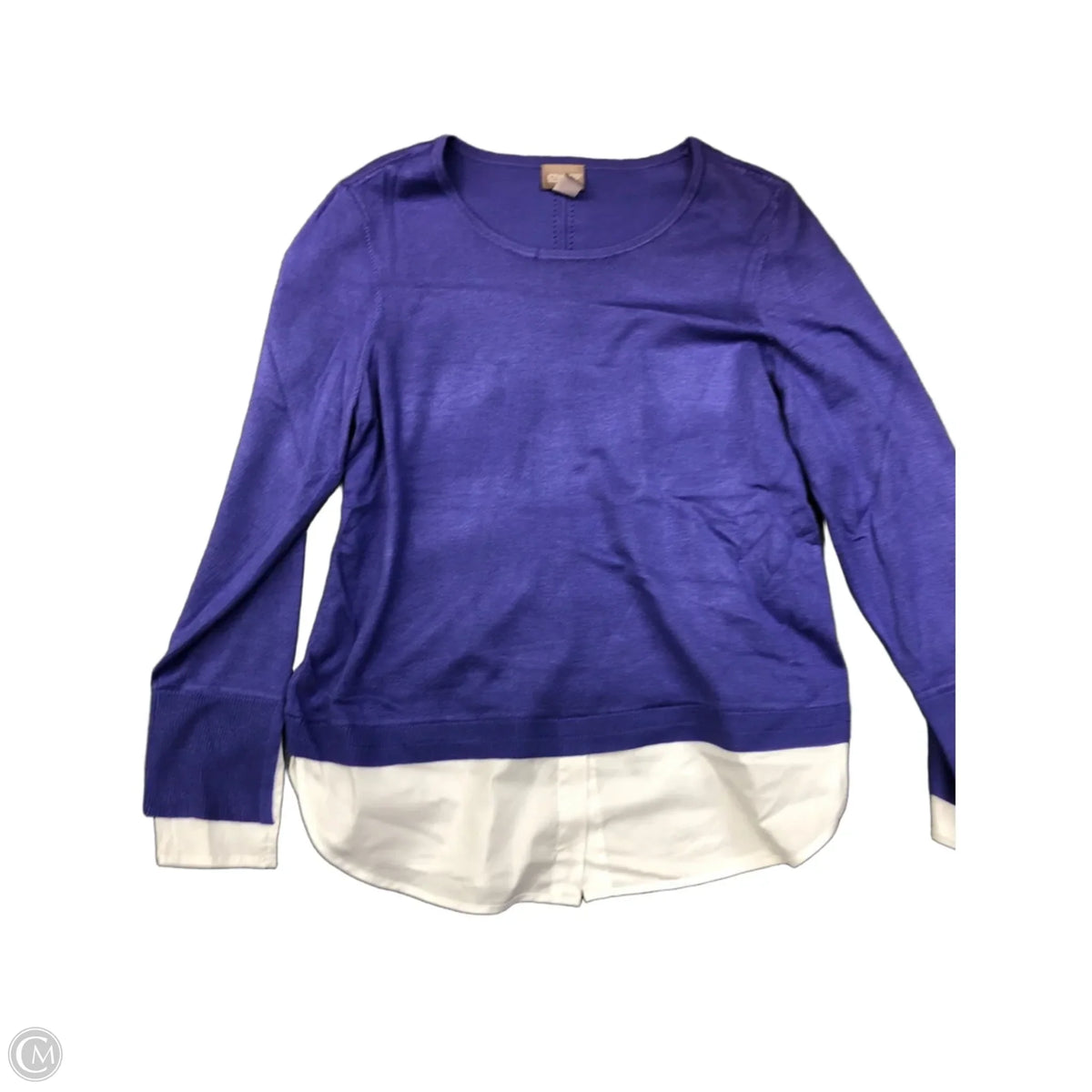Sweater By Chicos In Purple, Size: 8