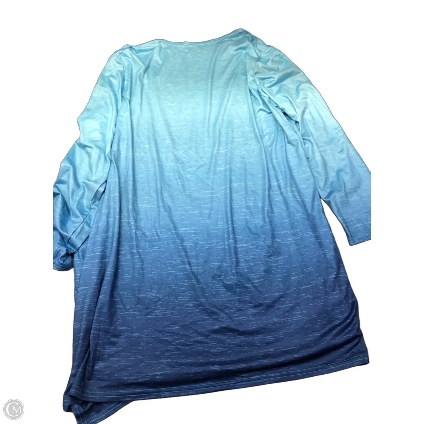 Cardigan By Clothes Mentor In Blue, Size: L