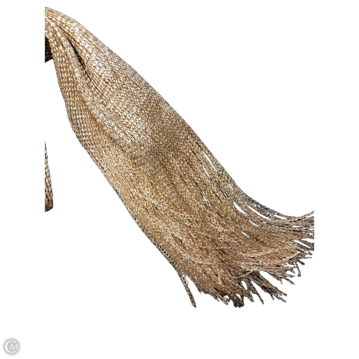 Scarf Long By Clothes Mentor