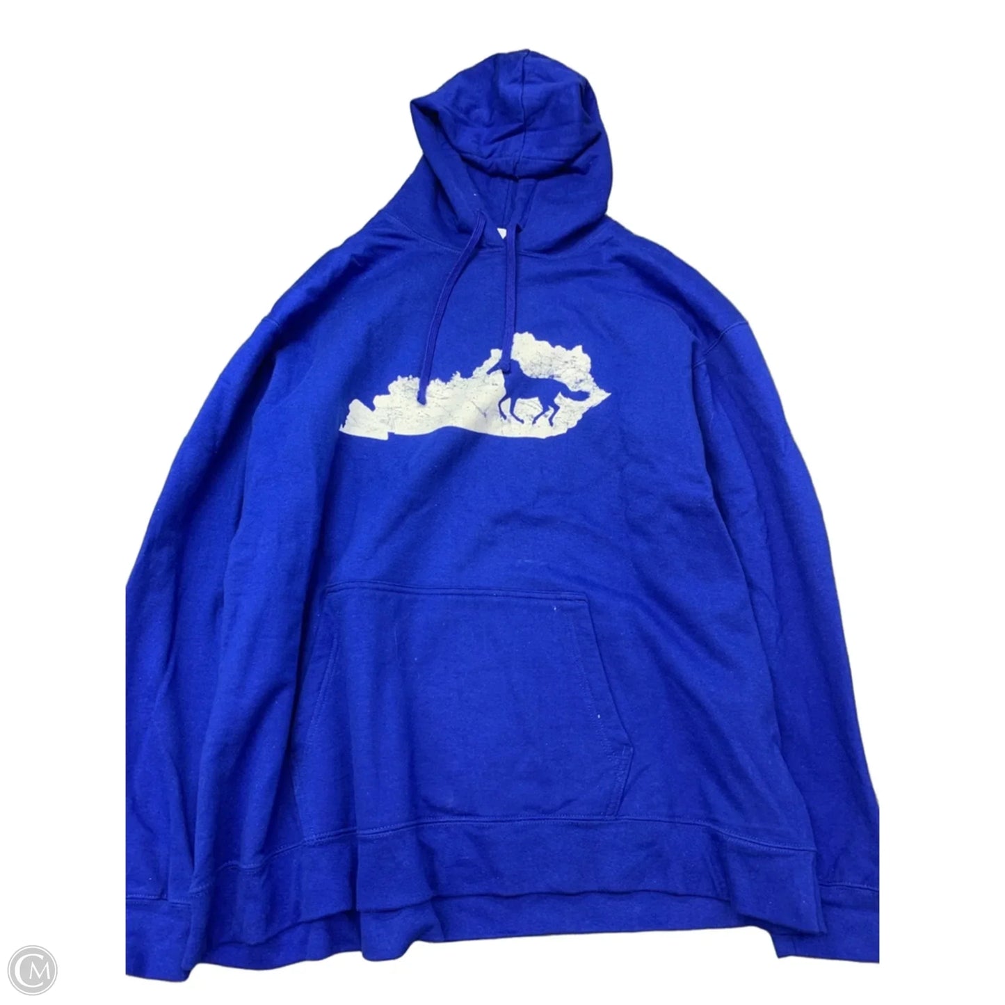 Sweatshirt Hoodie By Port & Company In Blue, Size: 2x