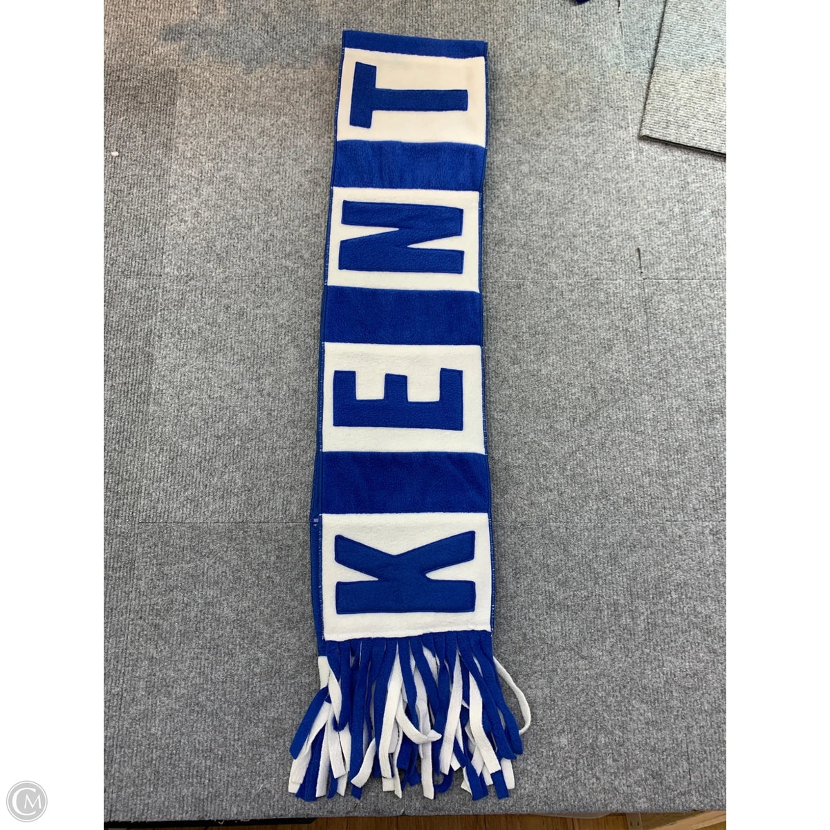 Scarf Long By Clothes Mentor