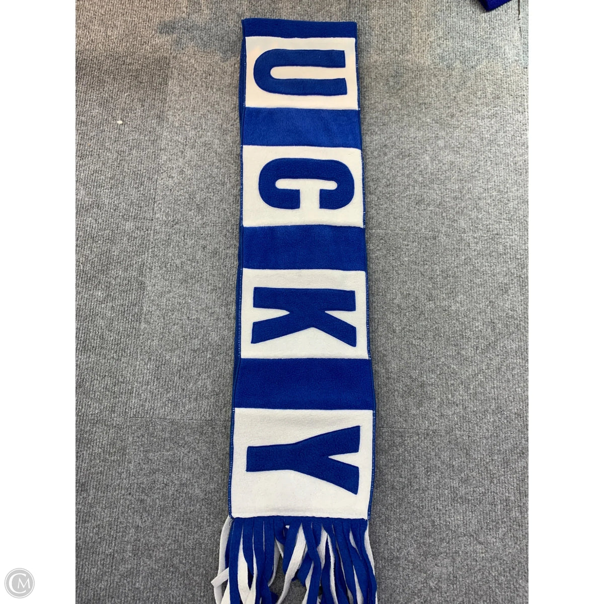 Scarf Long By Clothes Mentor