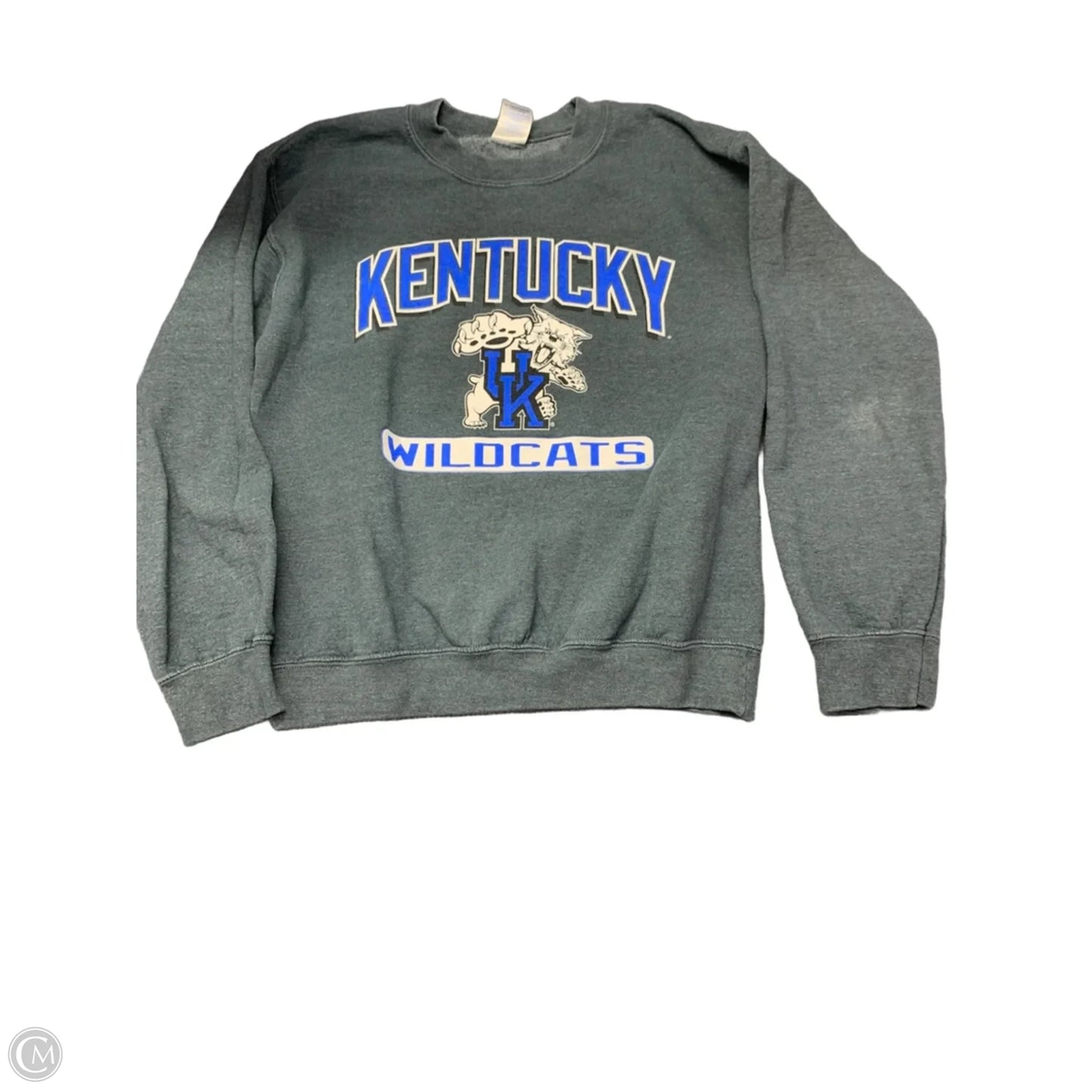 Sweatshirt Crewneck By Gildan In Grey, Size: S
