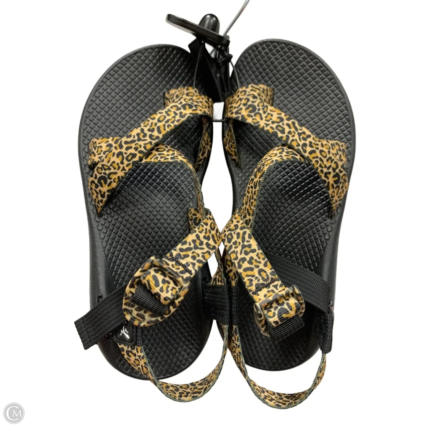 Sandals Flats By Chacos In Animal Print, Size: 7