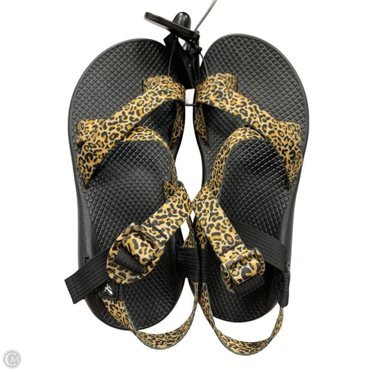 Sandals Flats By Chacos In Animal Print, Size: 7