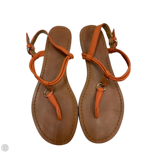 Shoes Designer By Coach In Orange, Size: 6