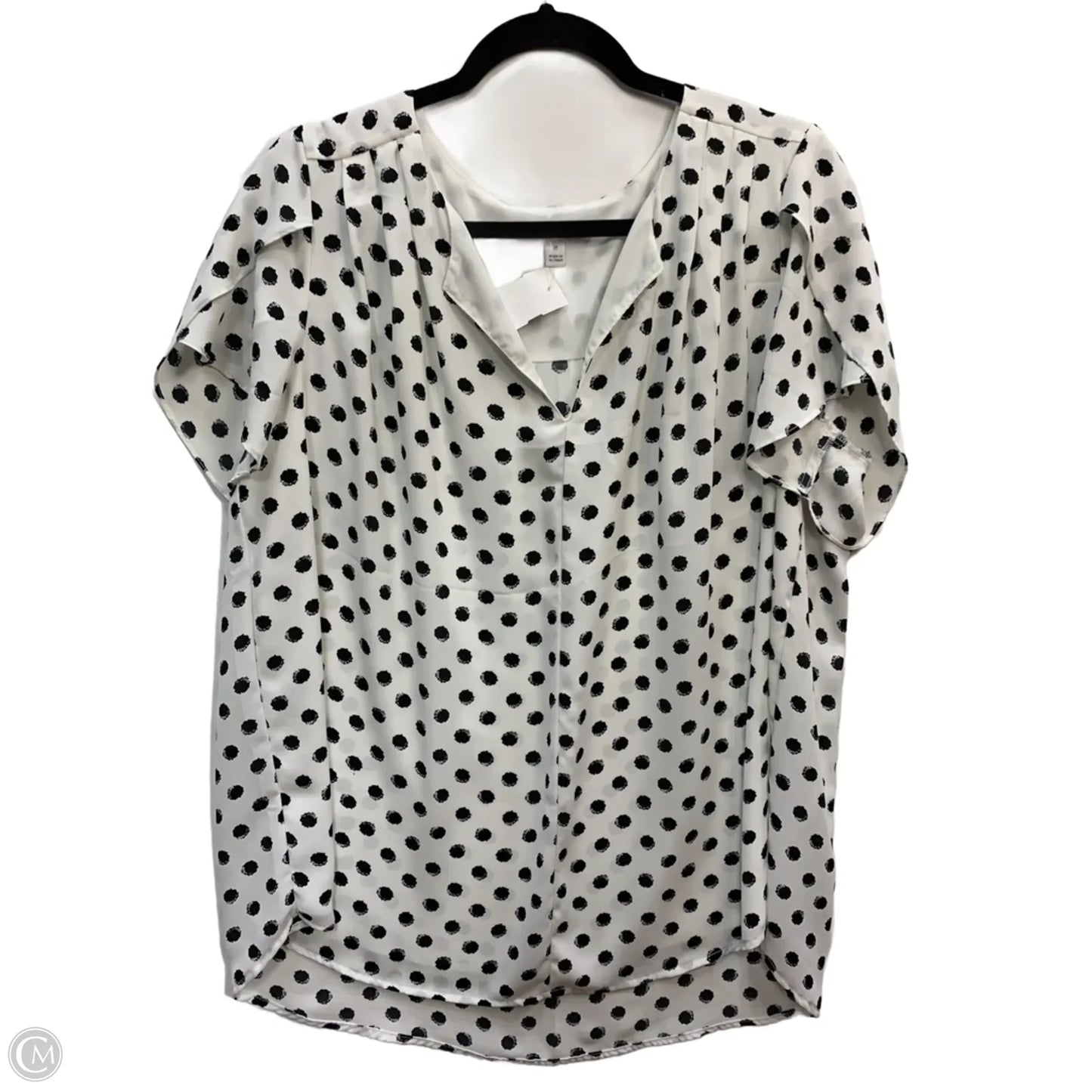 Top Sleeveless By 41 Hawthorn In White, Size: 2x