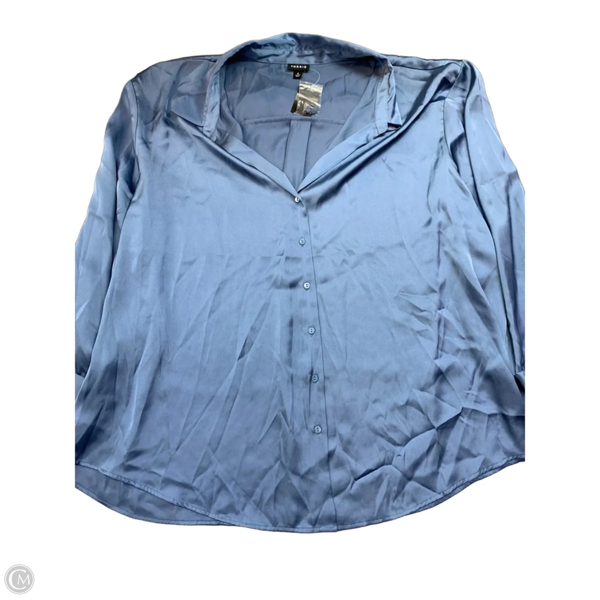 Blouse Long Sleeve By Torrid In Blue, Size: 4x