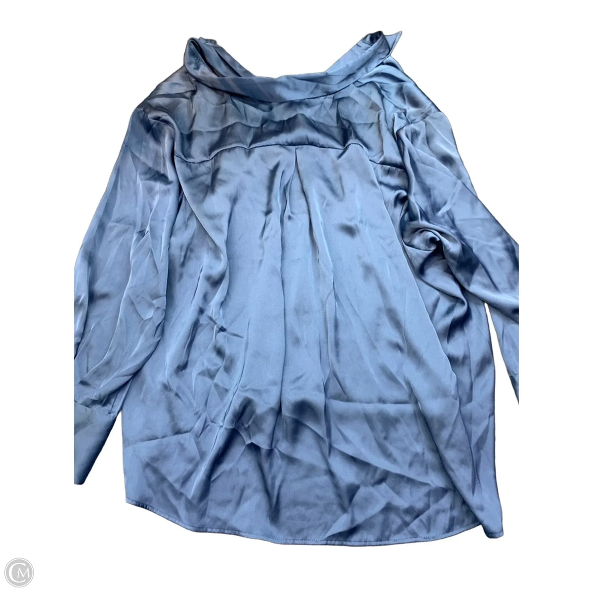 Blouse Long Sleeve By Torrid In Blue, Size: 4x