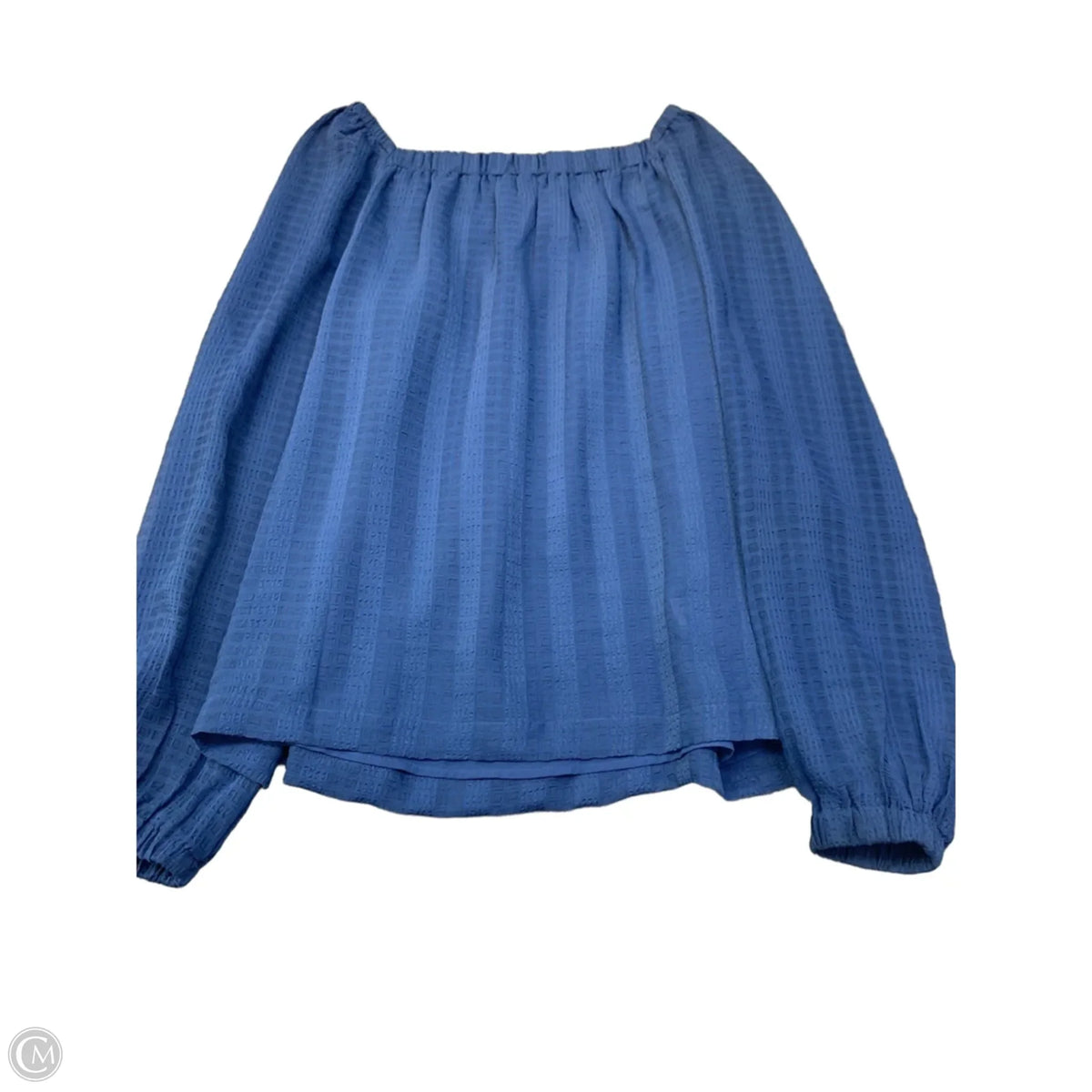 Top Long Sleeve By Ann Taylor In Blue, Size: S