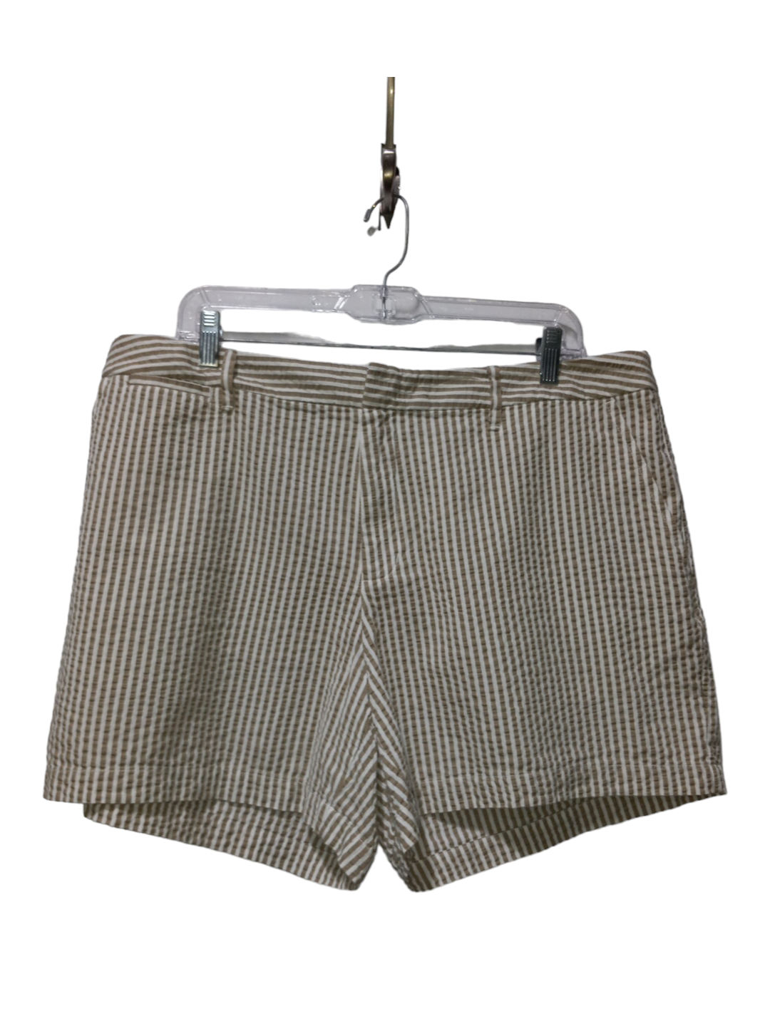 Shorts By A New Day  Size: 6