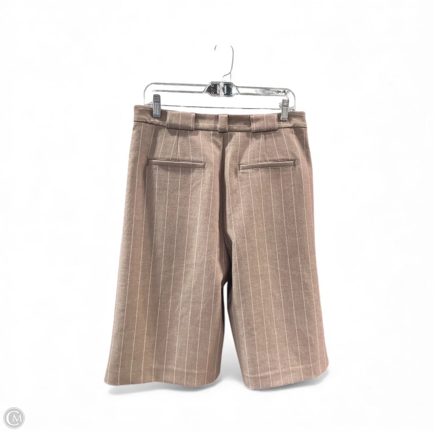 Shorts By Anthropologie In Striped Pattern, Size: 10