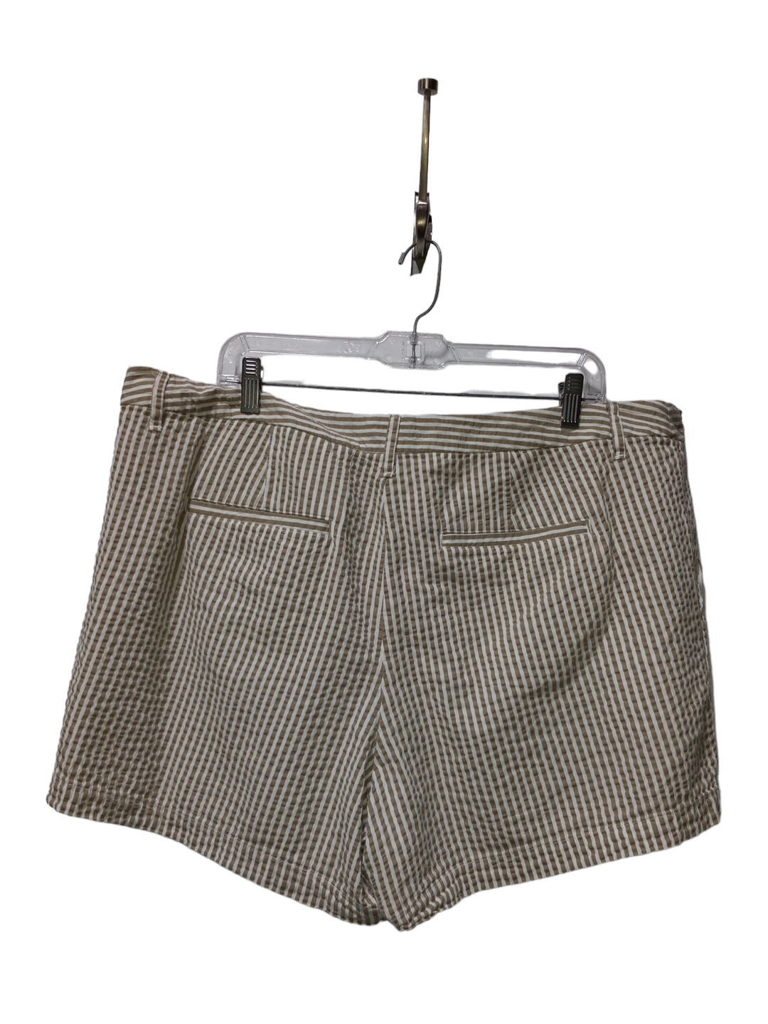 Shorts By A New Day  Size: Xl