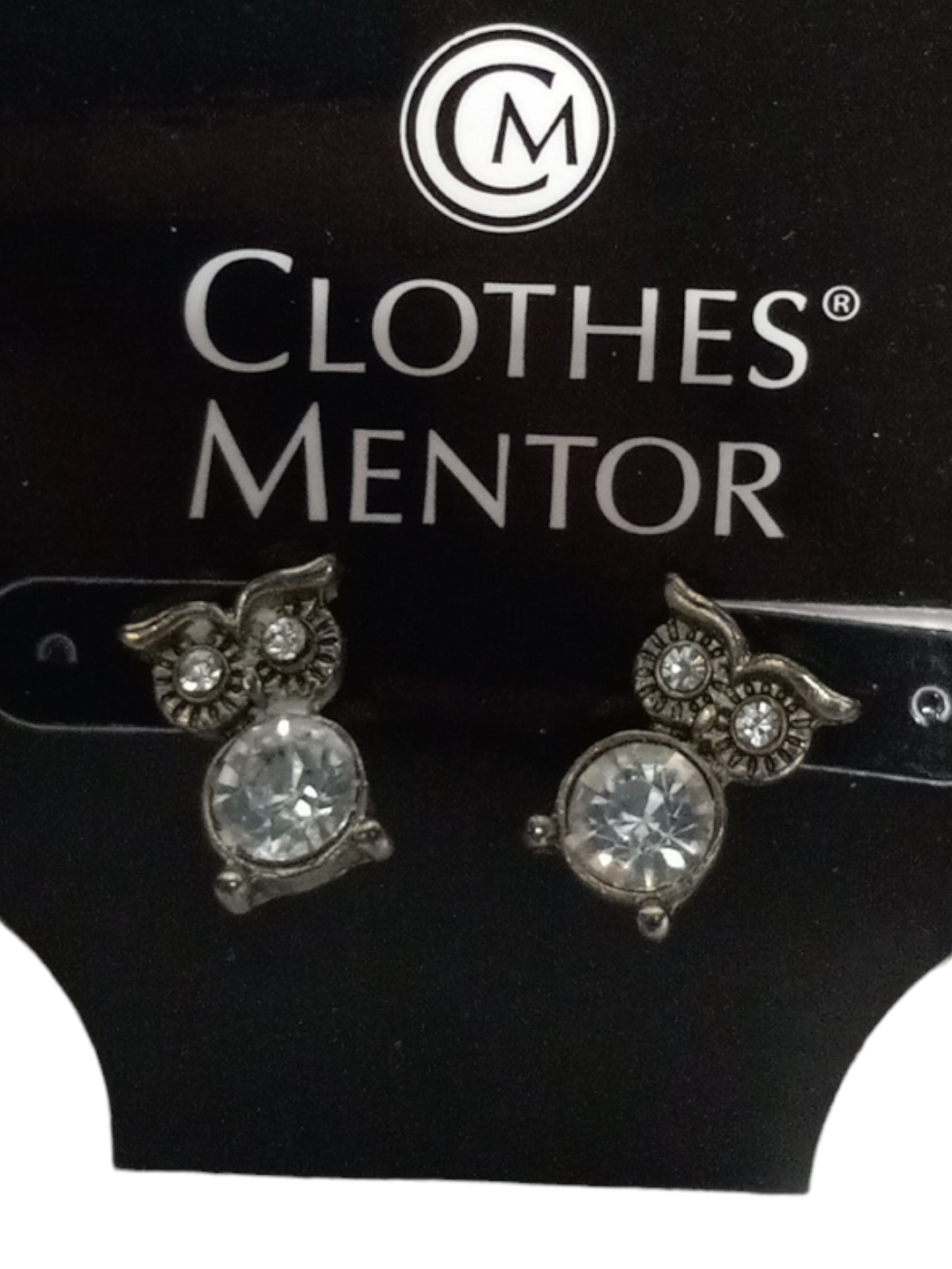 Earrings Stud Wild Fable
