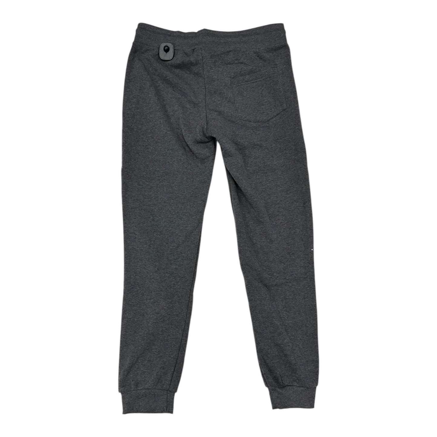 Athletic Pants By RUDOLPH In Grey, Size: Xl