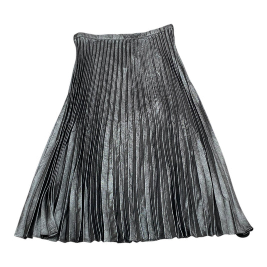 Skirt Maxi By Banana Republic In Silver, Size: 10