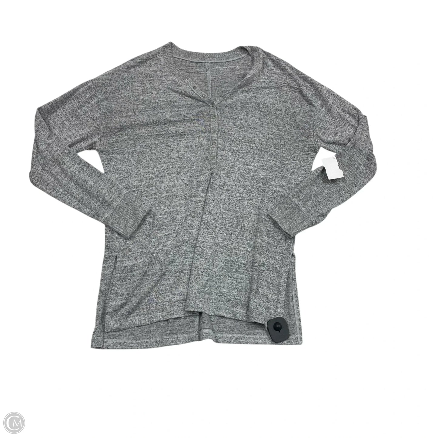Top Long Sleeve By Abercrombie And Fitch In Grey, Size: S