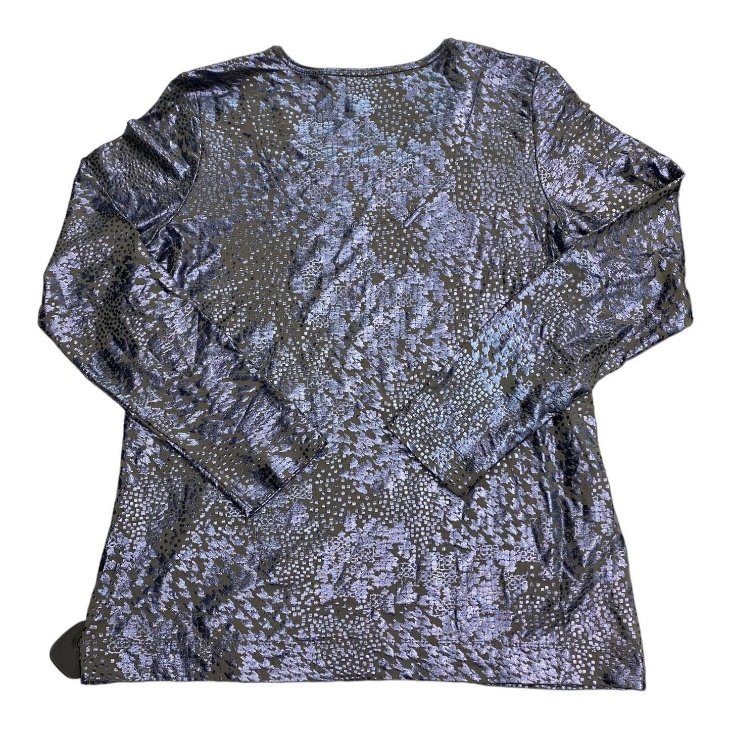 Top Long Sleeve By Chicos In Blue & Silver, Size: M