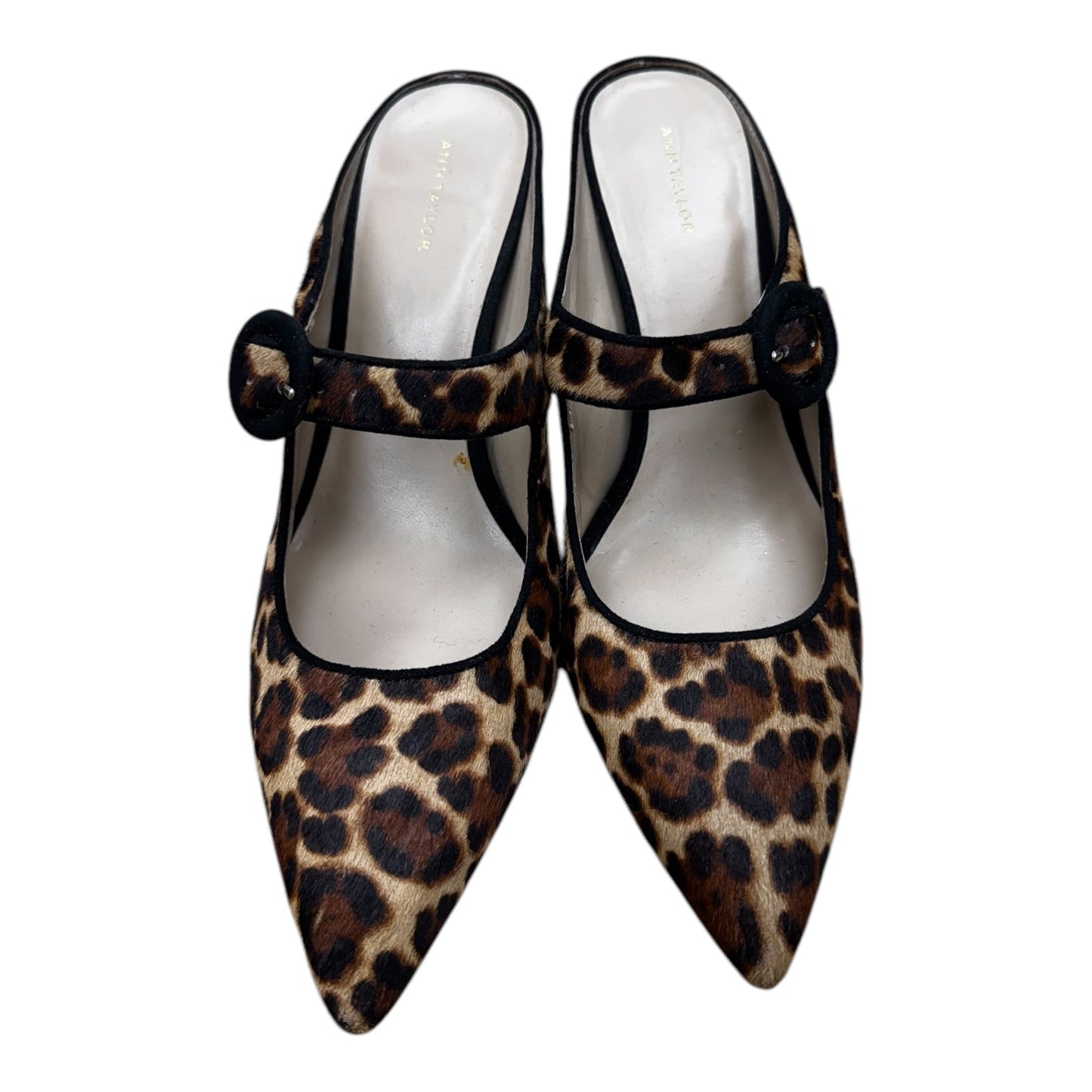 Shoes Heels Kitten By Ann Taylor In Animal Print, Size: 9.5