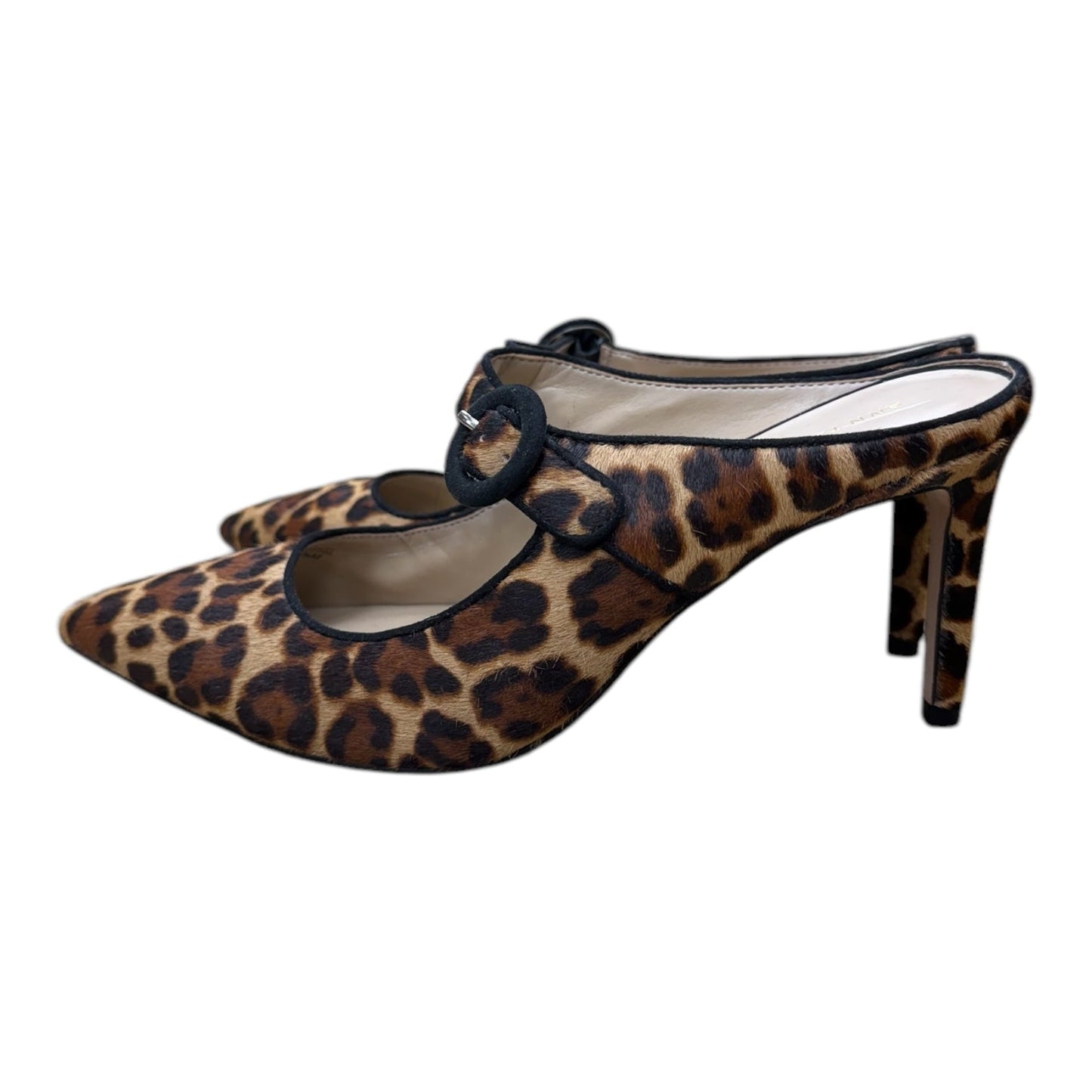 Shoes Heels Kitten By Ann Taylor In Animal Print, Size: 9.5