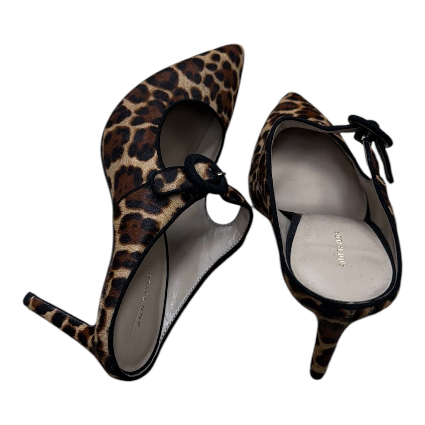 Shoes Heels Kitten By Ann Taylor In Animal Print, Size: 9.5