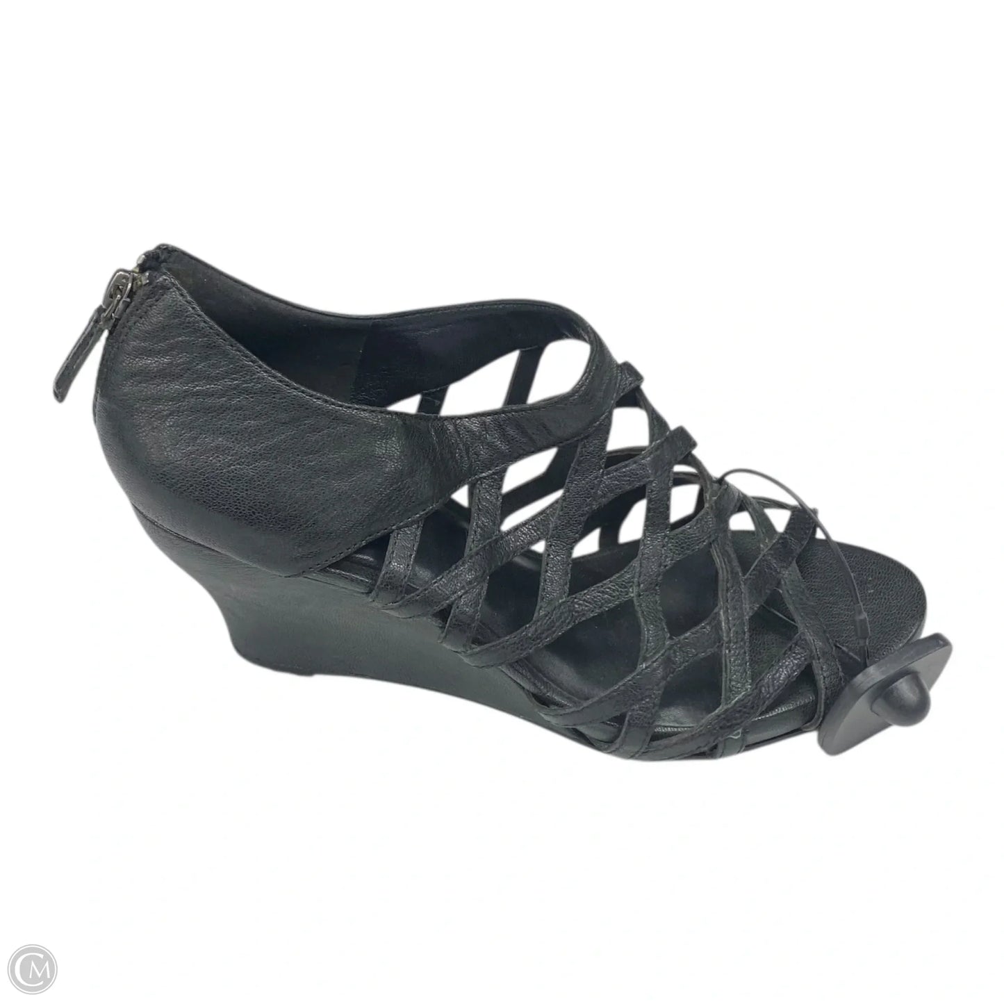 Shoes Designer By Eileen Fisher In Black, Size: 9.5