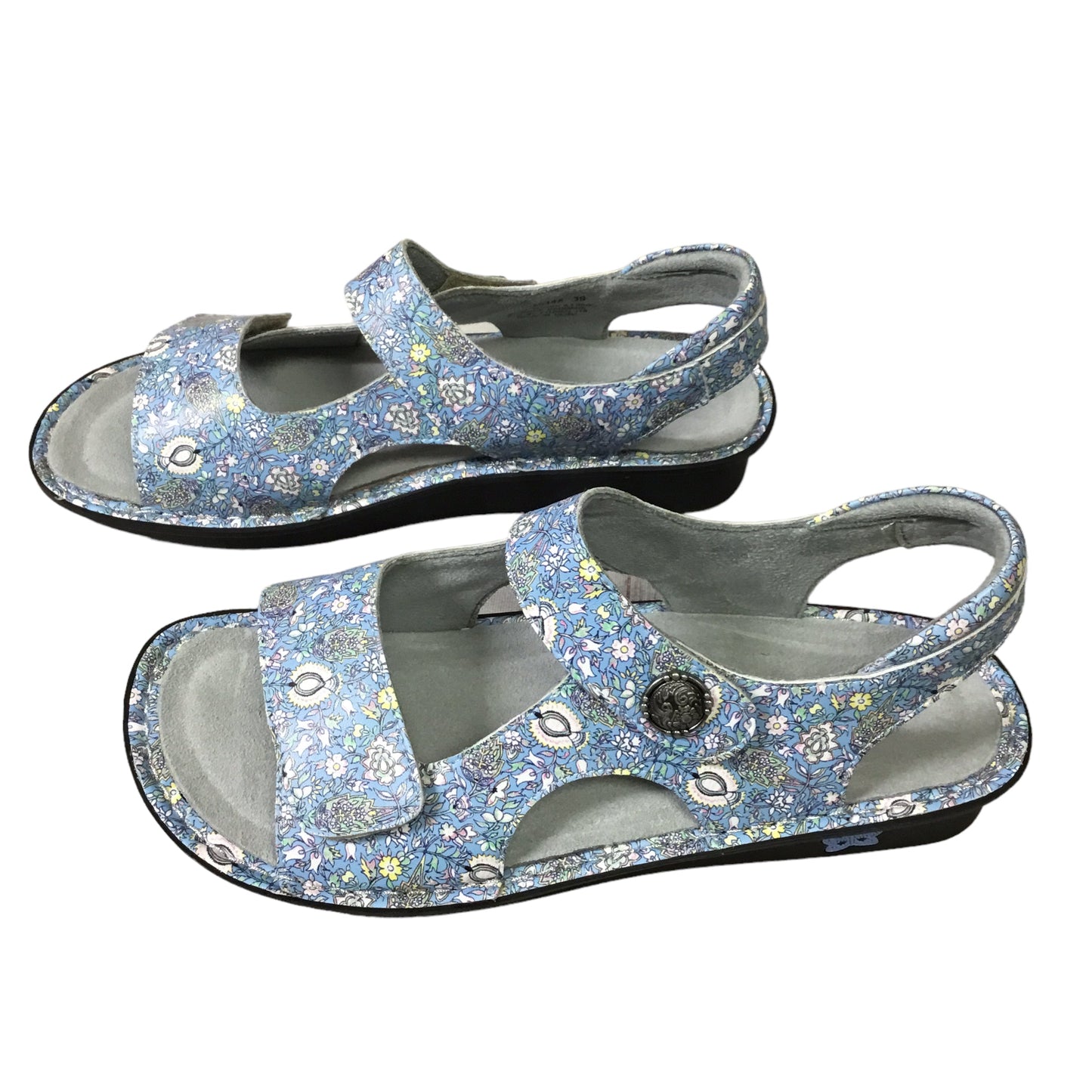 Sandals Flats By Alegria  Size: 9