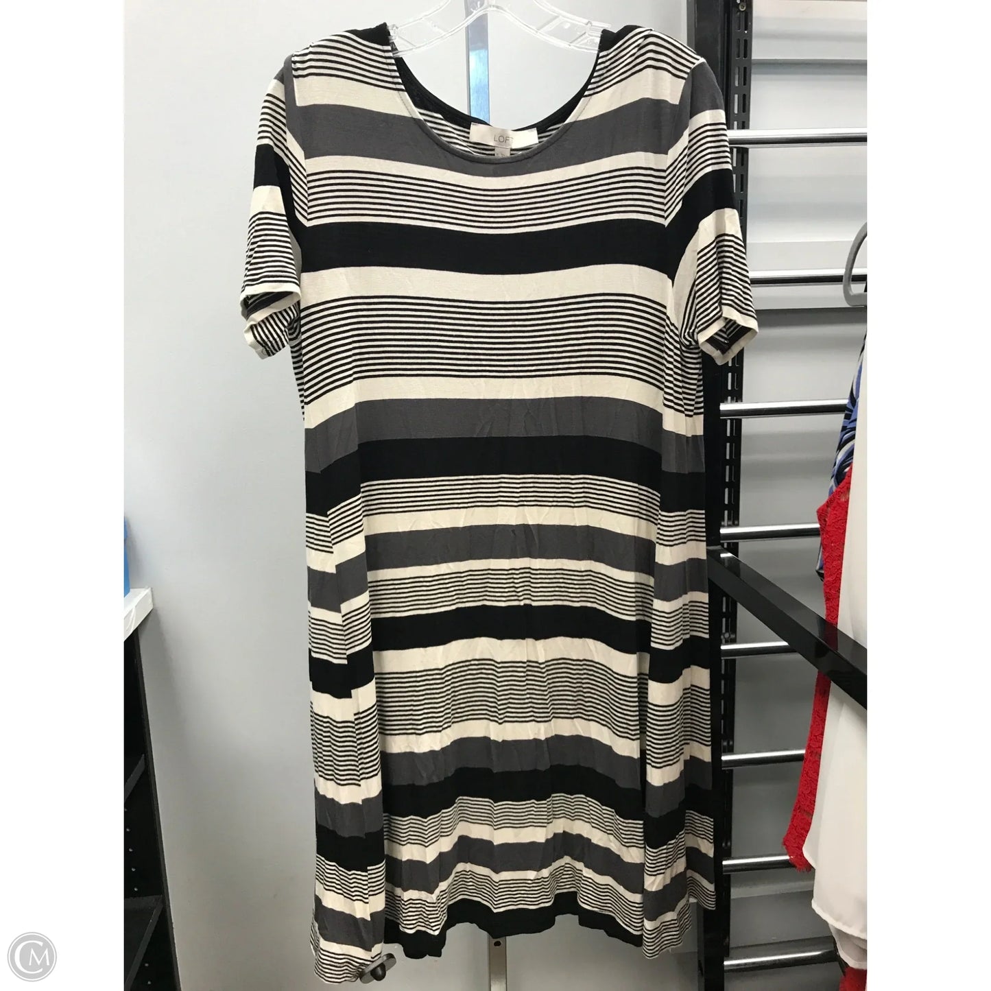 Dress Casual Short By Loft In Striped Pattern, Size: M