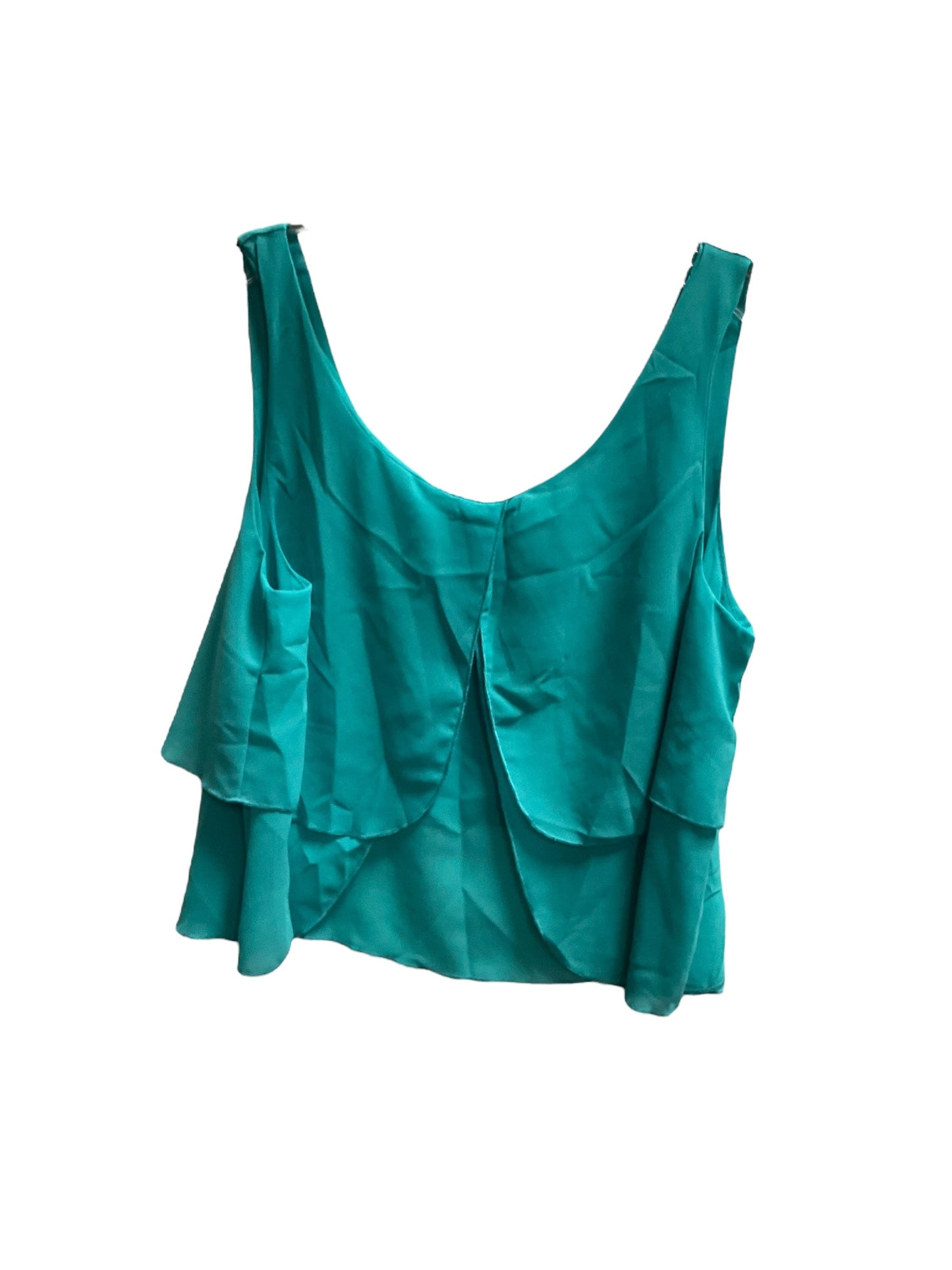 Aqua Top Sleeveless Clothes Mentor, Size L