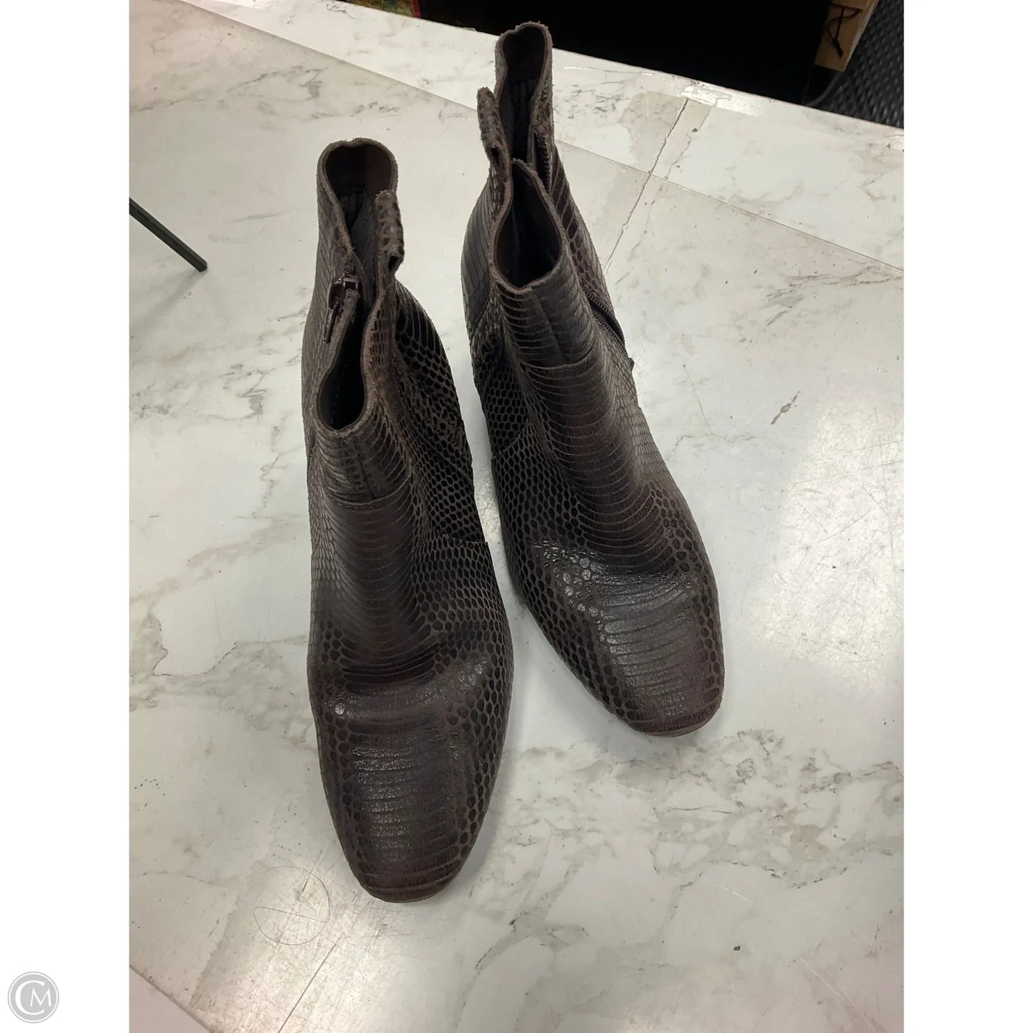 Boots Ankle Heels By Calvin Klein In Snakeskin Print, Size: 8