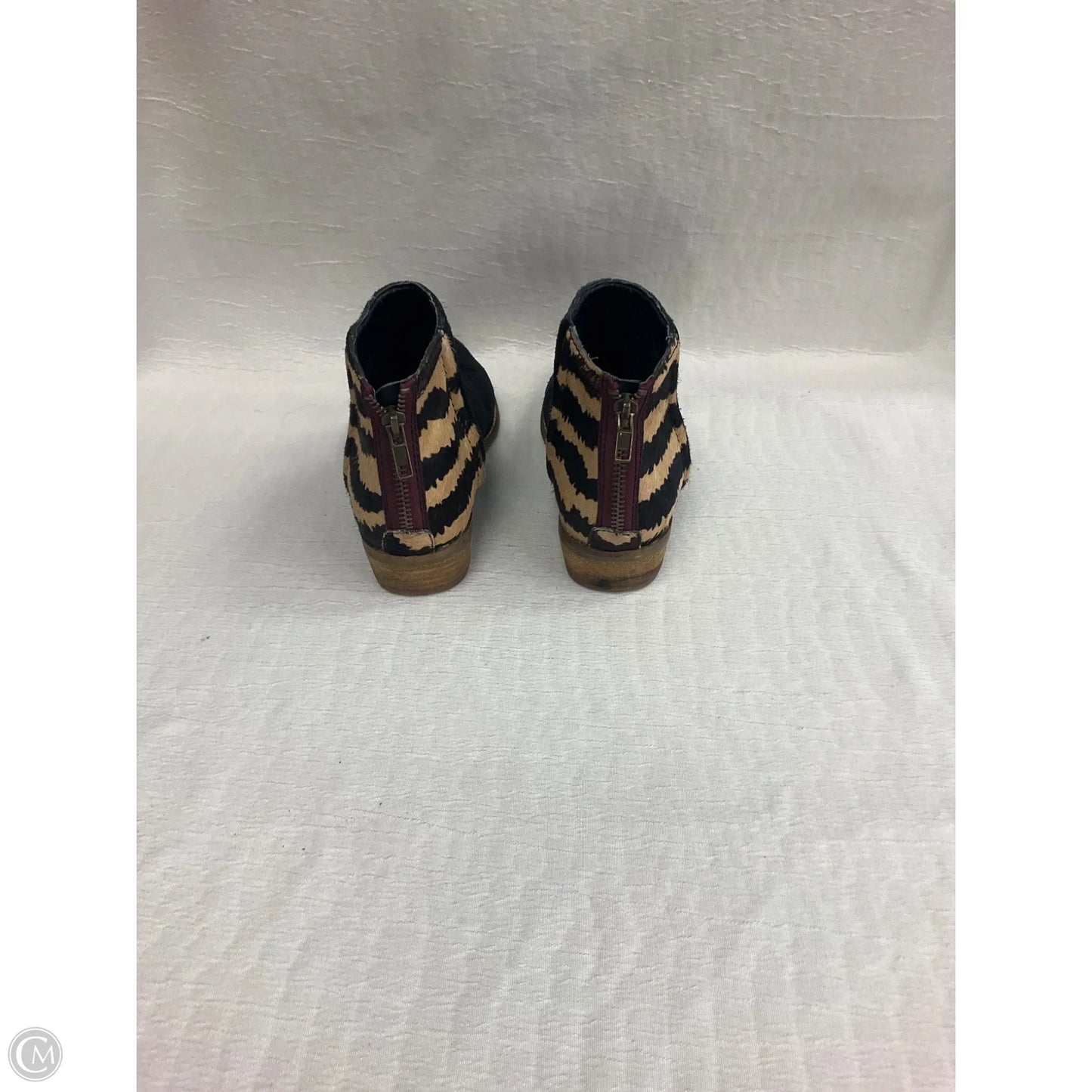 Boots Ankle Heels By Dolce Vita In Black, Size: 7