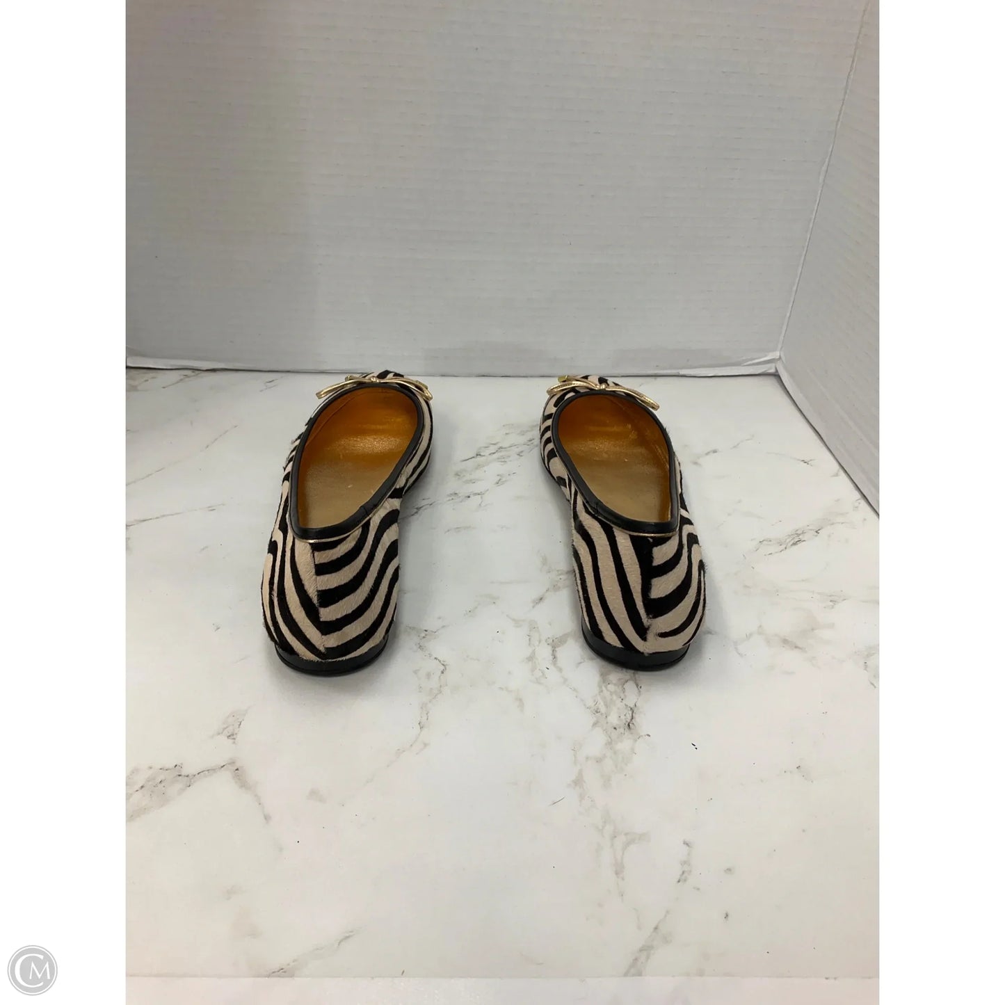 Shoes Designer By Coach In Zebra Print, Size: 7.5