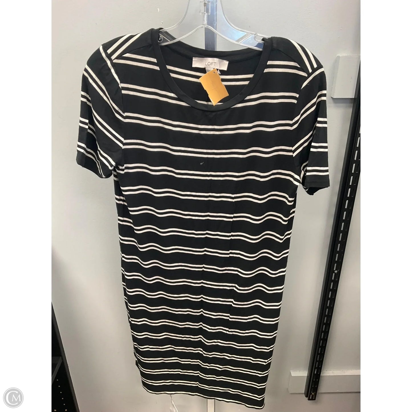 Dress Casual Short By Loft In Striped Pattern, Size: M