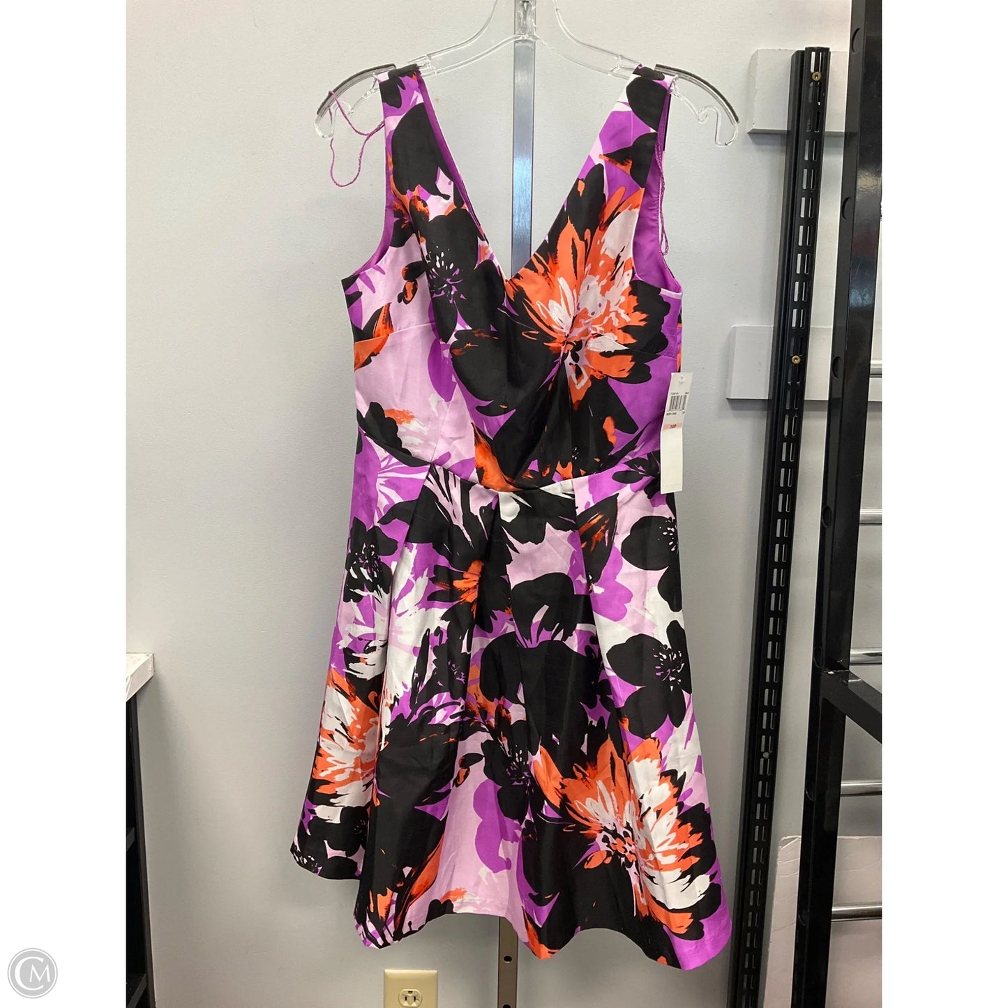 Dress Casual Short By Suite 7 In Pink & Purple, Size: 10p