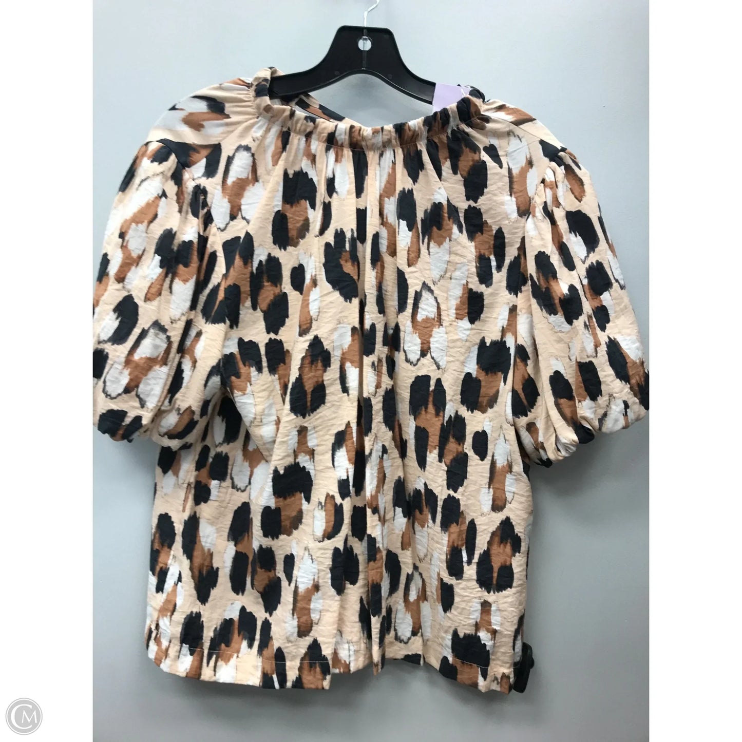 Top Short Sleeve By Ann Taylor In Cream & Tan, Size: M
