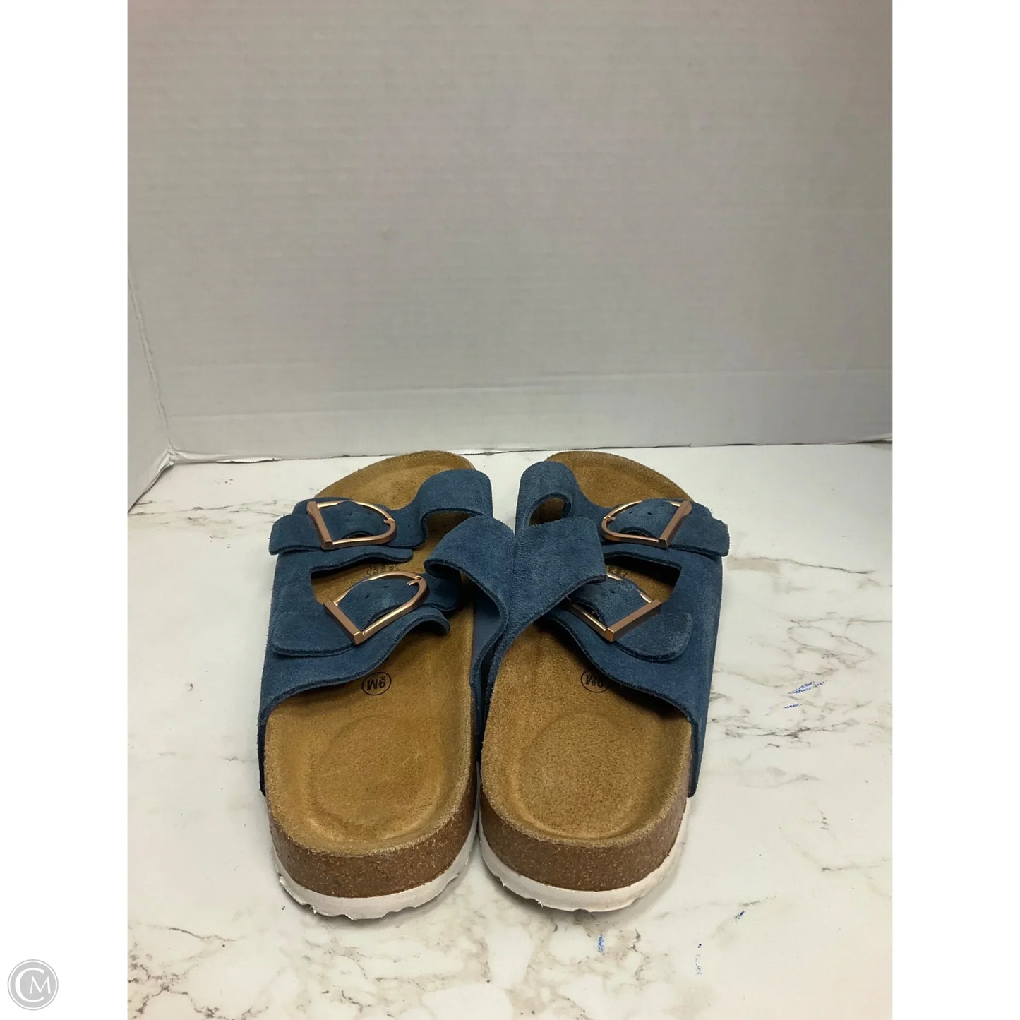 Sandals Flats By Cushionaire In Blue, Size: 9