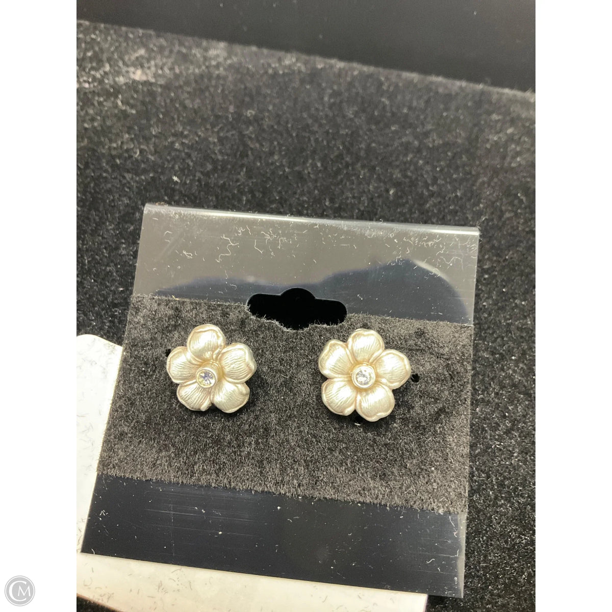 Earrings Designer By Brighton