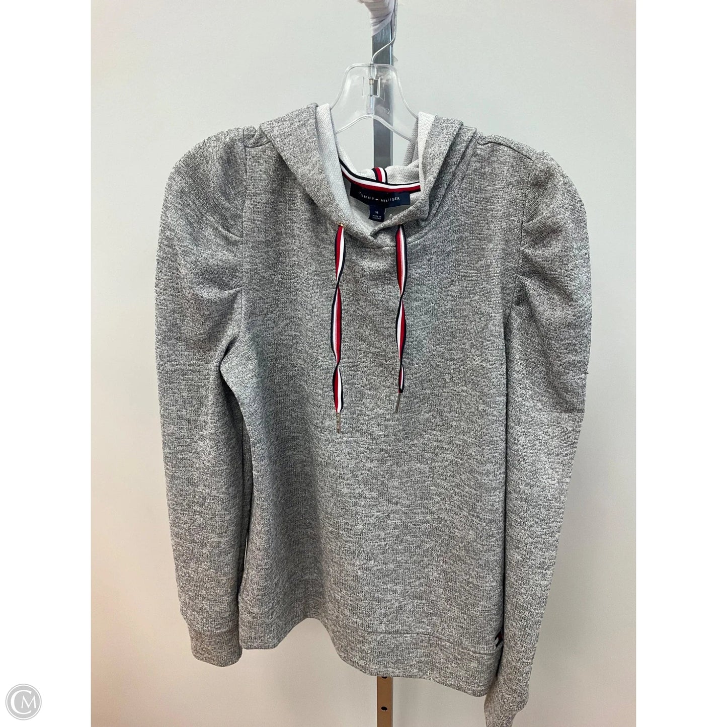 Sweatshirt Hoodie By Tommy Hilfiger In Silver, Size: M