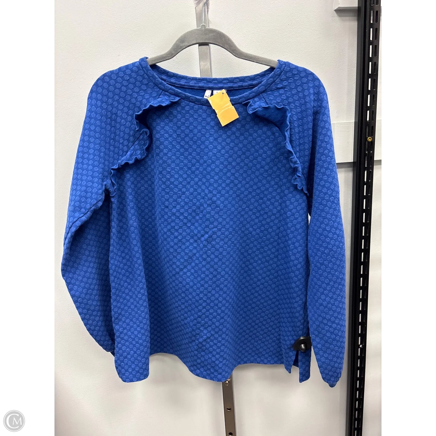 Top Long Sleeve Top By Elle In Blue, Size: M