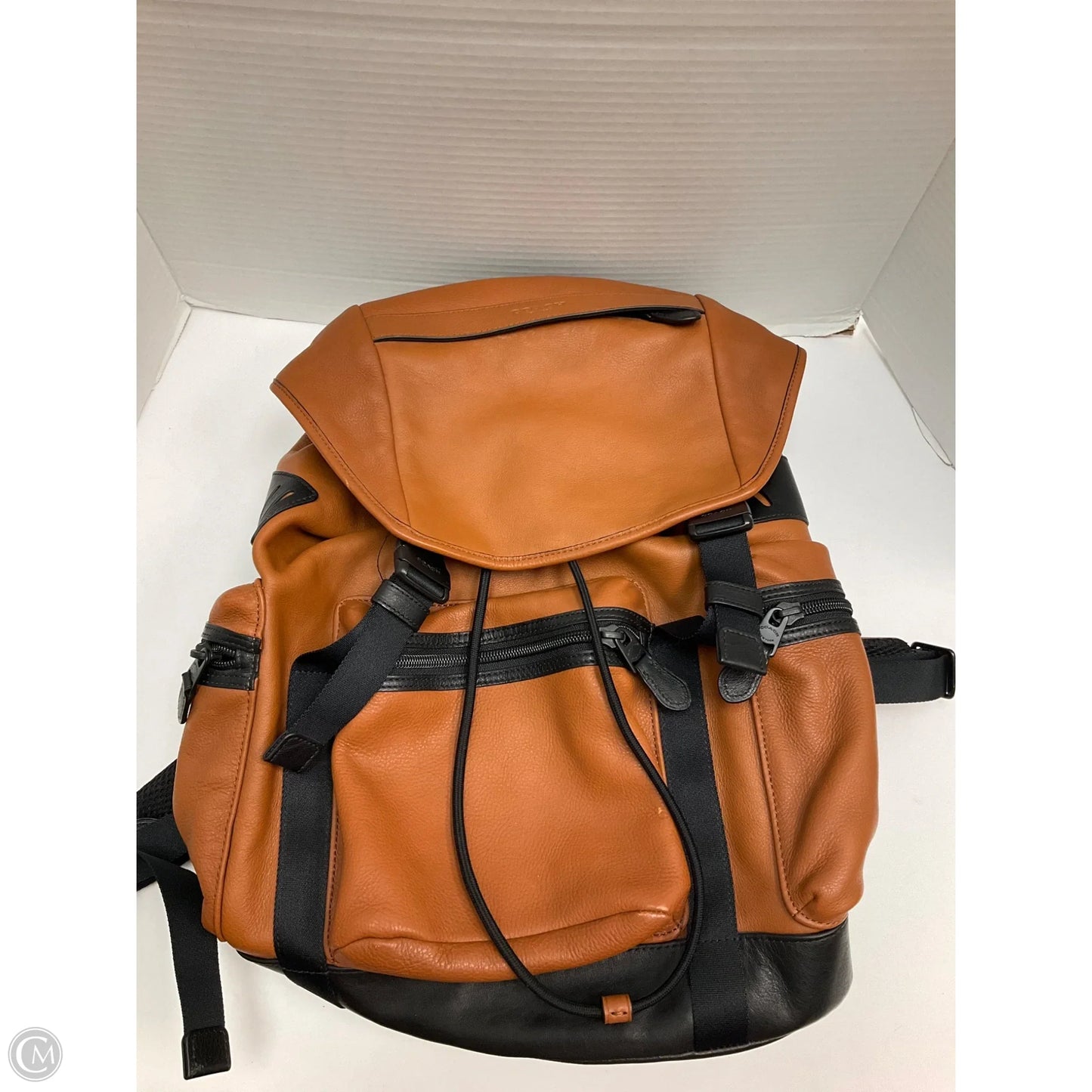 Backpack Designer By Coach, Size: Large