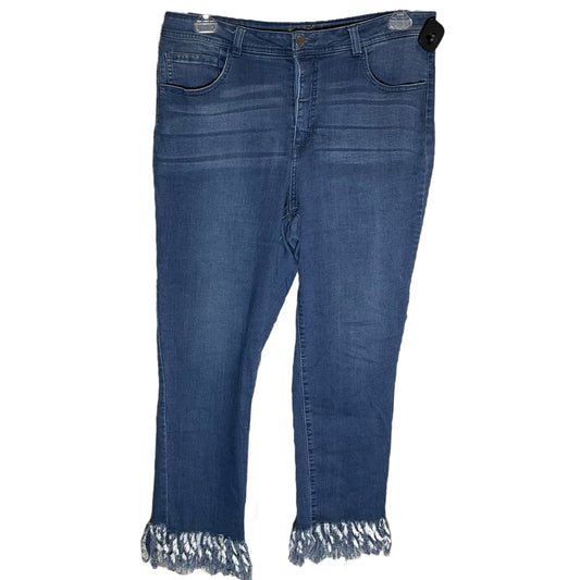 Blue Jeans Straight Women with control, Size 16