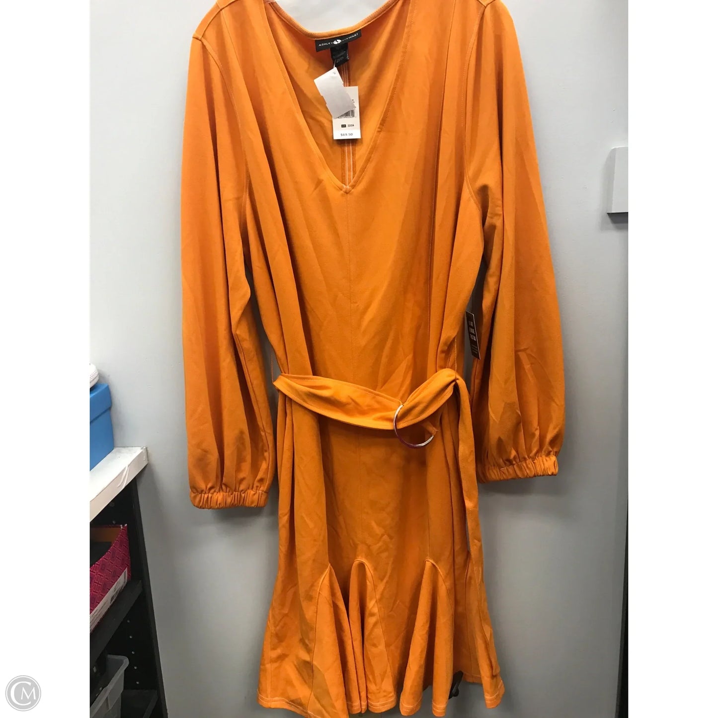 Dress Casual Short By Ashley Stewart In Orange, Size: 3x