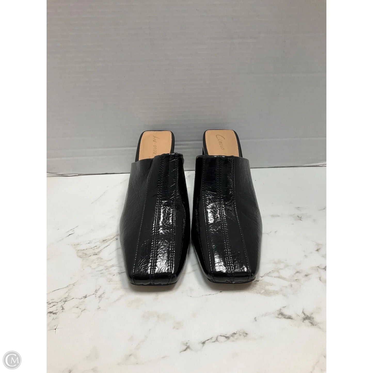Shoes Heels Block By Circus By Sam Edelman In Black, Size: 6.5
