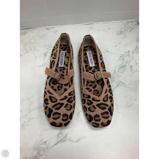 Shoes Flats By Steve Madden In Animal Print, Size: 8.5