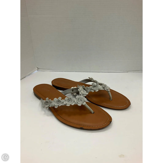 Sandals Flip Flops By Capelli In Silver, Size: 11