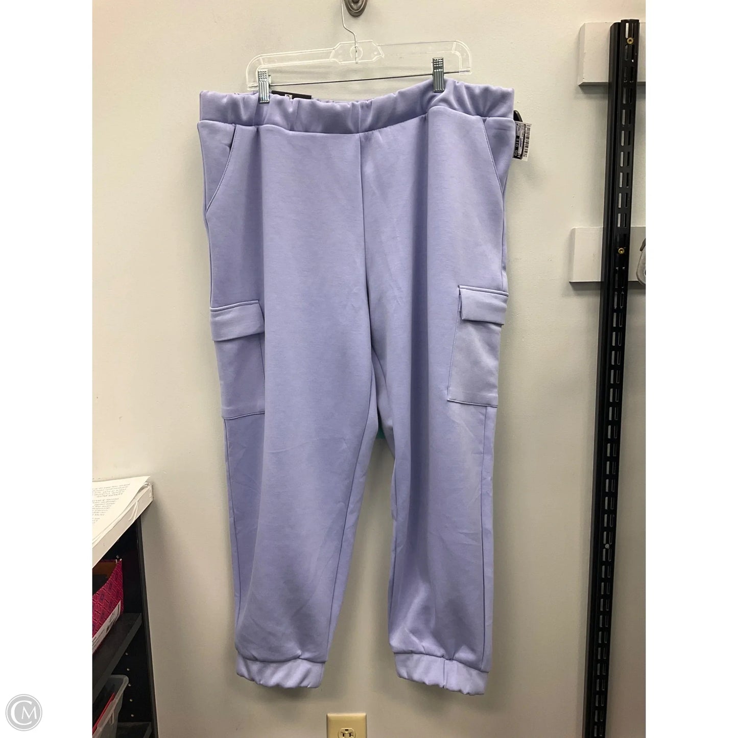 Pants Cargo & Utility By Express In Purple, Size: Xxl