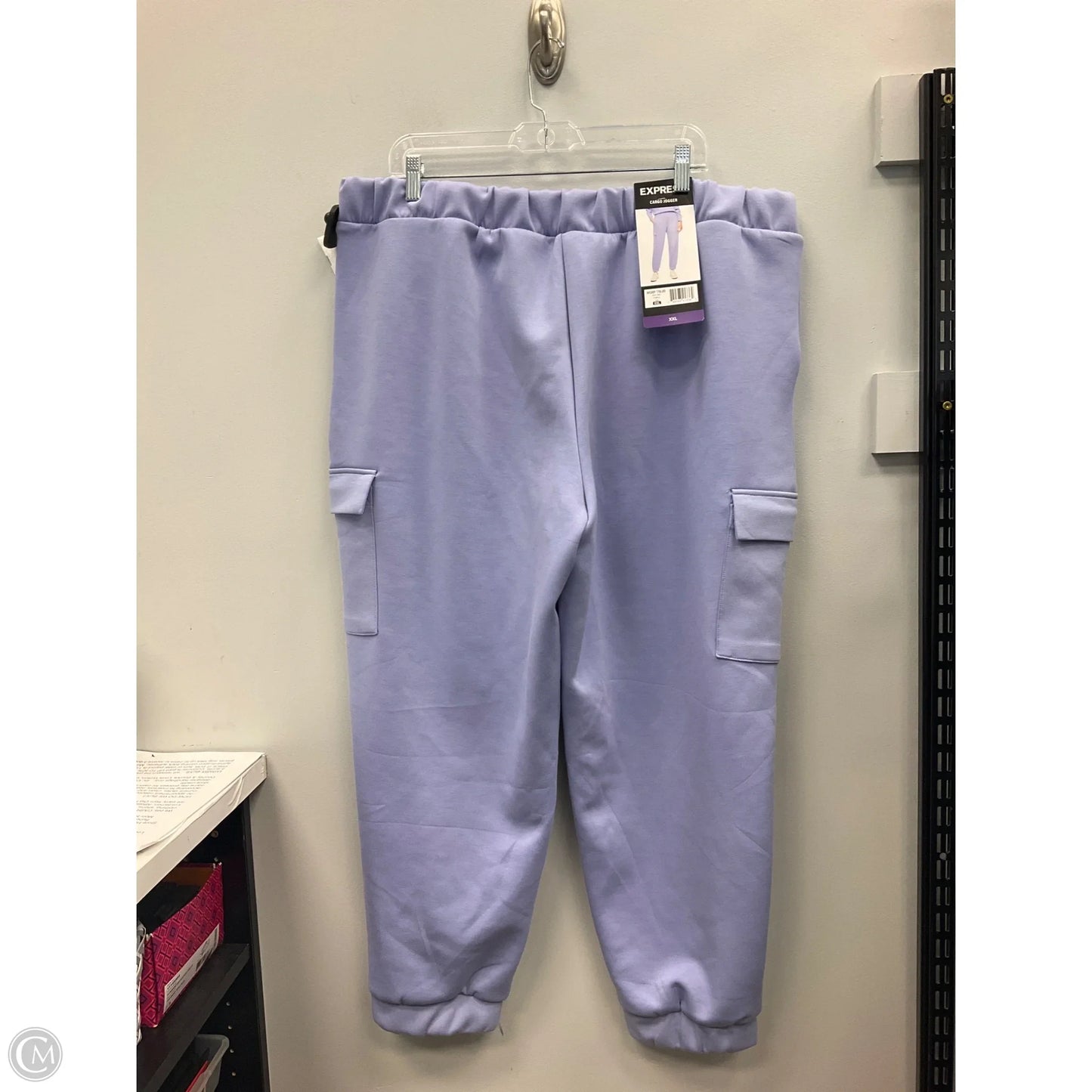Pants Cargo & Utility By Express In Purple, Size: Xxl