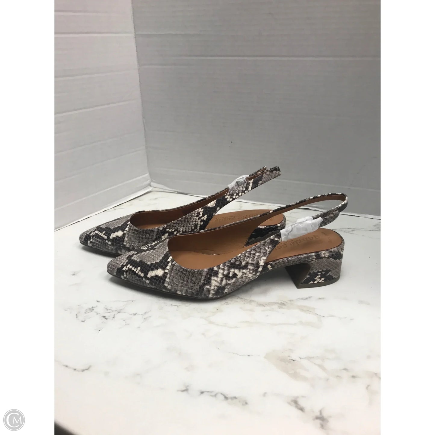 Shoes Heels Block By Gentle Souls In Snakeskin Print, Size: 8.5