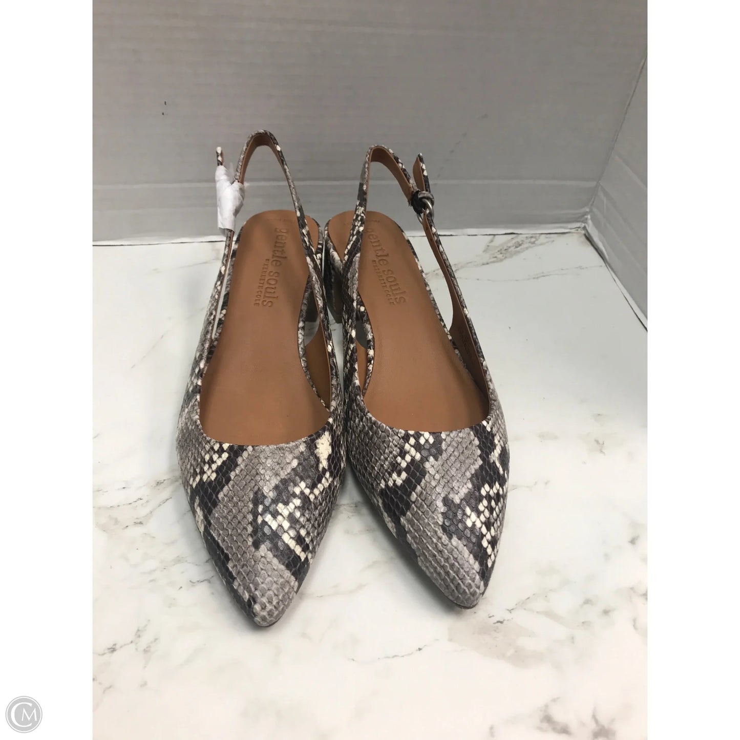 Shoes Heels Block By Gentle Souls In Snakeskin Print, Size: 8