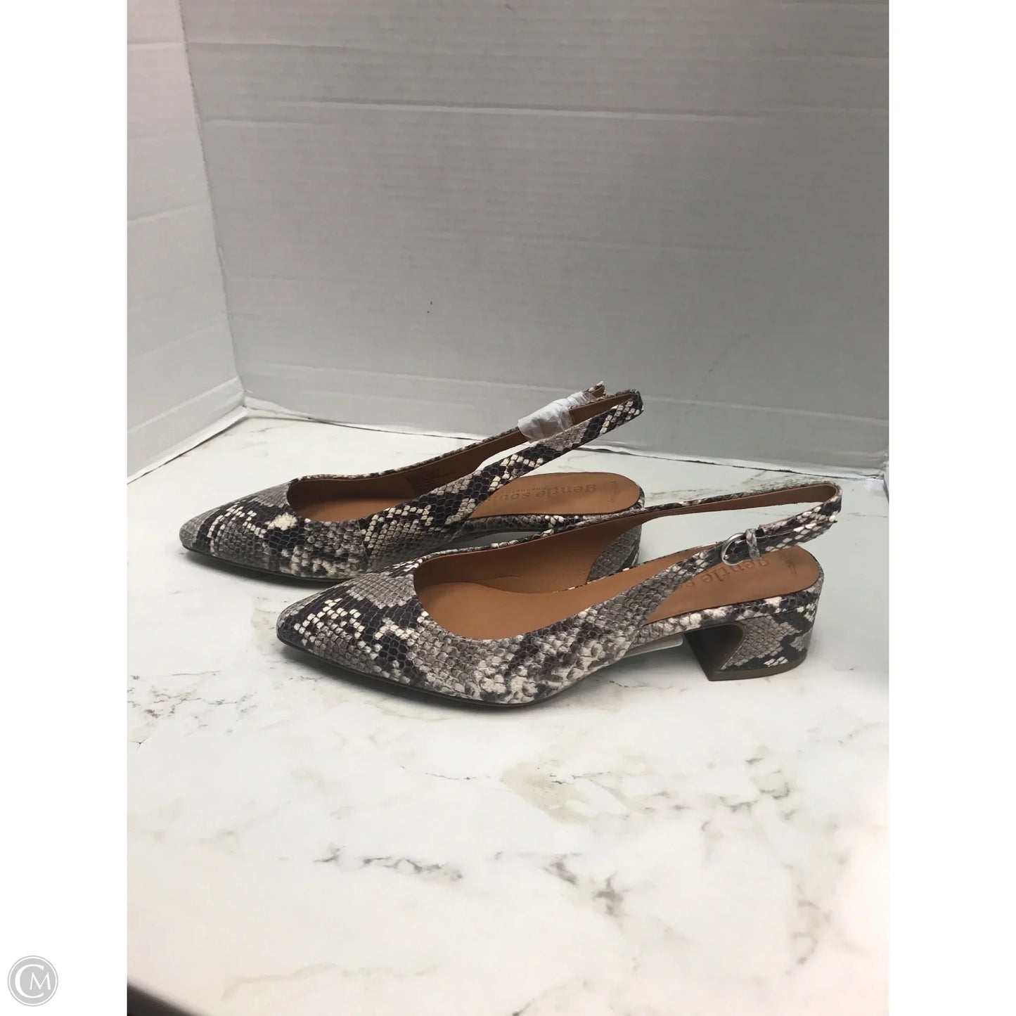 Shoes Heels Block By Gentle Souls In Snakeskin Print, Size: 8